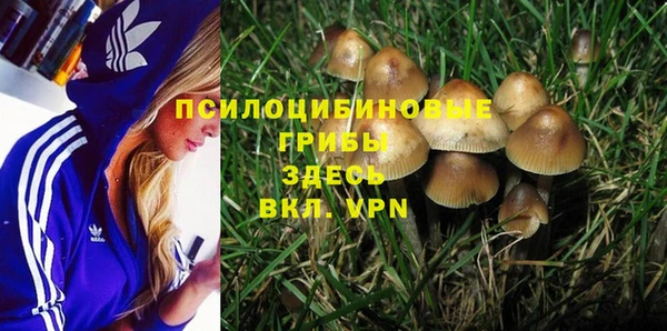 Альфа ПВП Алексеевка
