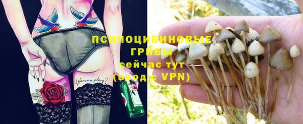 Альфа ПВП Алексеевка