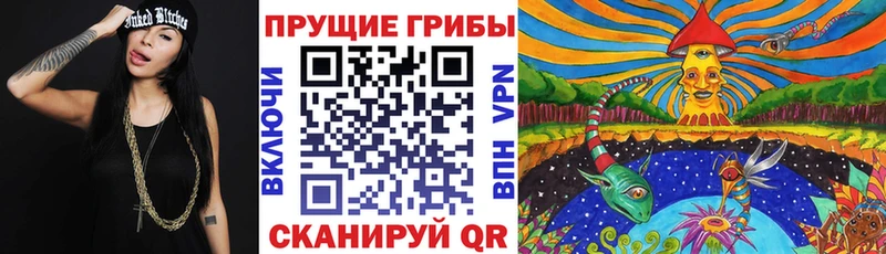 магазин    Константиновск  Псилоцибиновые грибы Cubensis 